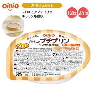 H fU[g v   vLAv`v L 40g 021701 ICIO[v [  H 敪3 łԂ GlM[⋋ ς⋋Hi 