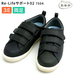 ݃V[Y ΉV[Y Re-LifeT|[g02iA[C[Ctj 7504 ubNi̔jCY3E Y  pC    p pi Vl N Nz `