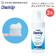 ライオン チェックアップフォーム 100mL 2本 DZHCUF ライオン歯科材 メール便 │ フッ素 口腔ケア 歯磨き…