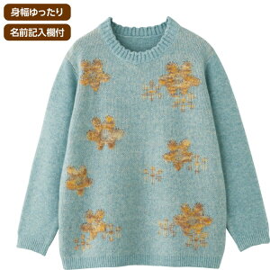 Z[^[ fB[X  H~ 炩ԕWJ[hZ[^[ 821976 M`L PAt@bV  gbvX 킢 i LC JWA _炩 jbg  wl ~ZX VjA 