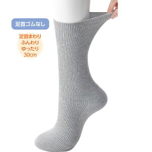 \bNX 24`26cm 800065 PAt@bV   C  tďH~ pC RۖhL L 30cm ӂ S葫SȂ 邢 ̂т ނ 