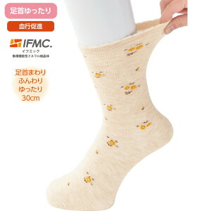 \bNX fB[X { C TvIFMC.薼Ȍ长\bNX 22`24cm 800562 PAt@bV  C    wl ~ZX VjA 킢  