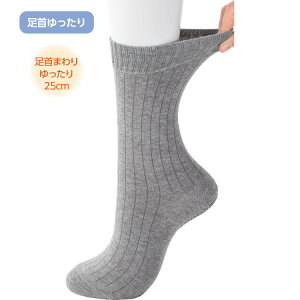 \bNX Y 薼ȌXx~ߕt\bNXiampj 24`26cm 38911 PAt@bV  C ~  jo[Tt@bV amp jp VjA 