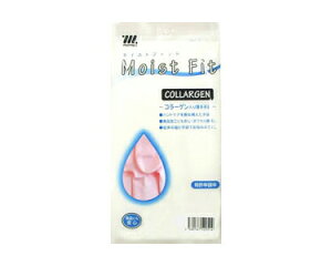 ێ܃CXgtBbgLisNj y760001z 䐻   O[u ێ