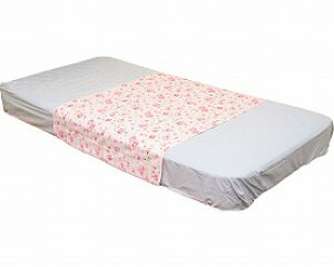 hV[c  h\tgpCV[cԕi145×90cmj BPS-2 _ːN  h V[c ԕ 킢  pi Q xbh֘A h^Cv hdl AR A 