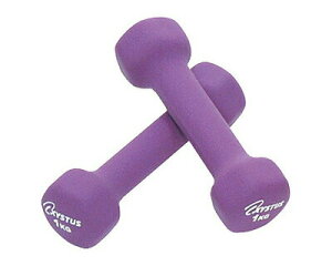 TOEILIGHT ���o�[�R�[�g�_���x��1 H-9055 1.0kg×2�� �g�[�G�C���C�g �� ���N���G�[�V���� �_���x�� �o�[�x�� �A���[ 1kg ���o�[�^�C�v �t�B�b�g�l�X �g���[�j���O ���p�i