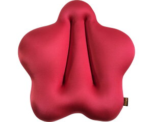 pNbV Cubeads LbLb X RNH  NbV  ItBX w ʗp ʕێ pێ NbV