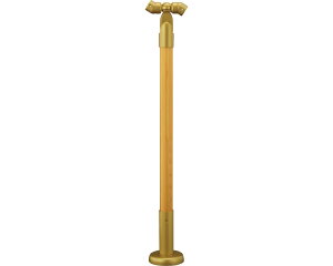 p肷R[i[x ؐ^Cv AWXgt }cZ  pi