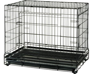 b`F y@lzvtFbViybgP[W XL 59761 ubN   P[W T[N t ybgP[W P[W ybgP[W L P[W LX^[t  T