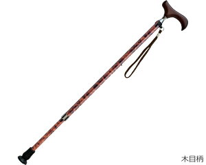 EV[Y Lk ^Cv E-251A PCEzXsA    XebL y IV Lk s⏕ pi   v[g Mtg