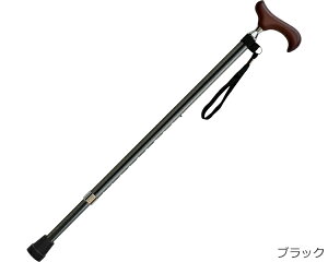 EV[Y Lk E-301 PCEzXsA    XebL y IV Lk s⏕ pi   v[g Mtg