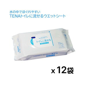 TENA gCɗEGbgV[g 72×12Zbg TW8021-01 jE`[ bP |  gC|V[g gCN[i[ gC V[g | gCp   EFbg