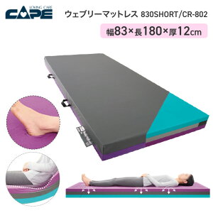 P[v EFu[}bgX 830 V[g^Cv CR-802 83×180cm |   xbh   ڏ ̈ U K h  Lk E^tH[ }bgX @ őΉ \tg