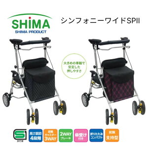 s  VtHj[ChSPIIiVtHj[ChSP2j 쏊  s⏕ sT|[g s 4 pi v[g ̓ 蕨 VbsO J[g 艟 V