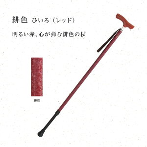 s JCmXaʁiWASAIj V[gTCY Vim | XebL  y  EH[LO   pi  VjA N Vl Nz 蕨 a  j 