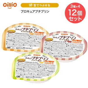 H ICIO[v vLAv`v 40g 12Zbg i3×e4j 3 łԂ [ H fU[g v GlM[⋋ ς⋋Hi  H