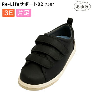 V[Y ΉV[Y ݃V[Y Re-LifeT|[g02iA[C[Ctj 3E 7504 ubNiБ̔jY  pC    p pi N Vl 