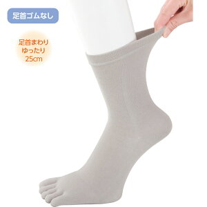 \bNX Y ߂5{w\bNX 24`26cm 89301 PAt@bV  C   SȂ  ܖ{w jo[Tt@bV amp jp VjA { 