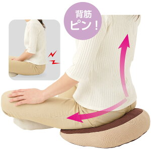ᔽNbV ᔽo[Vu炭NbV 32×40×10.5cm 800325 PAt@bV  ~ NbV h[icNbV ی` ی^ O w   Sy  lp 