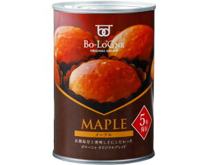 H ~de{[j uIbVp [v 12 {[jFC{  ۑH ~H p p̊ʋl ʓp fjbV ܖ 5N ʓ   lC h