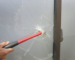 hƃtB ʃKXp 2i39×47×0.05cmj BGF4741   hƃObY hƃKX  D_ ЊQ΍ 䕗 nk KXUh~ łڂKXp |J[{l[g { S S N