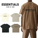 ESSENTIALS エッセンシャルズ Tシャツ 半袖 メンズ レディース T-Shirt 21SS BACK LOGO バックラバーロゴ 3Dロゴ Tシャツ