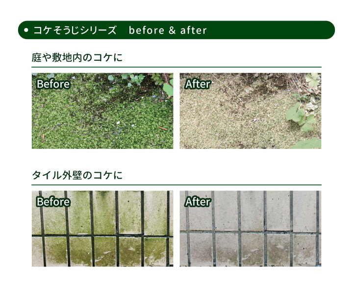 楽天市場 イシクラゲも強力駆除 コケ駆除剤 コケそうじスプレー業務用濃縮液 2l 送料込 パネフリ工業 出荷場所が別のため別商品と同梱不可 いしくらげ 対策に 苔 こけ 駆除 除去 パネストア