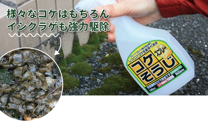 楽天市場 公式 イシクラゲも強力駆除 コケ駆除剤 コケそうじスプレー業務用濃縮液 kg 送料込 パネフリ工業 出荷場所が別のため別商品と同梱不可 いしくらげ 対策に 苔 こけ 駆除 除去 パネフリ工業 公式 パネストア 楽天市場 公式 イシクラゲも強力駆除 コケ駆除剤 コケそうじスプレー業務用濃縮液 kg 送料込 パネフリ工業 出荷場所が別のため別商品と同梱不可 いしくらげ 対策に 苔 こけ 駆除 除去 パネフリ工業 公式 パネストア