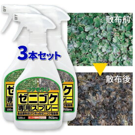 楽天市場 ゼニゴケ 駆除の通販