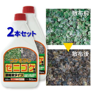yzy10{߁zw[IRP쏜 RP[jSPpZkt 500ml×2{g pltHƁy ΍ Y {   RN[g  ԏ VRR  K[
