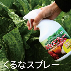 yzVRRAیt ؂͍̊ ȃXv[ 900ml 12{Zbg pltHƁyY { j[ VR j[IC h h  悯   qo 