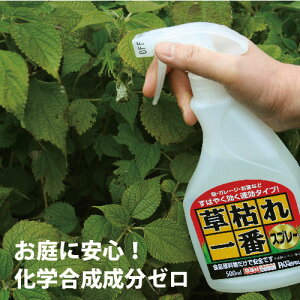 【化学合成成分0の除草剤】草枯れ一番スプレー 500ml 速効タイプ パネフリ工業【除草 国産 日本製 お盆休み お墓参り 塩 庭 雑草 予防 お手軽 簡単 手入れ ガーデン 非農耕地 草取り 草刈り】
