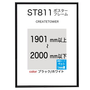 ST811|X^[t[ ubN/zCg I[_[TCY|X^[TCY^eRv19012000mmȓ^e^R^gp\U݋4⋭1{[12cƓO