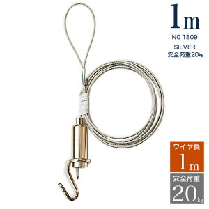 yS׏d20kgzsN`[[pp[~jC[M100@1m@׏d20kg [֎wNo1809