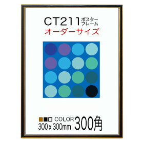 CT211 カラーコレ ポスターフレーム 300角 300x300mm 額縁 オーダー品