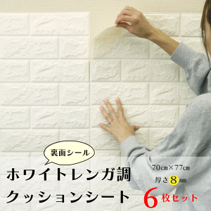 zCgK NbVV[g 6 CNV[g ǎ C V[ Ǎ 3d  ANZgNX ͗lւ \ւ DIY \邾 ȒP h fM ʃV[  rO 