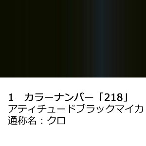 hA~[Jo[yg^ vEX 50(2021(ߘa3)N6)z(ȑ)J[Iт EE͂DIYŌɃ`W TPL02