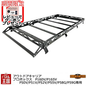 【500円クーポン】【ハードカーゴ アウトドアキャリア プロボックス専用】トヨタ プロボックス P160V P165V P50V P51V P52V P55V P58G P59G ルーフキャリア カスタム パーツ HARD CARGO HC-250