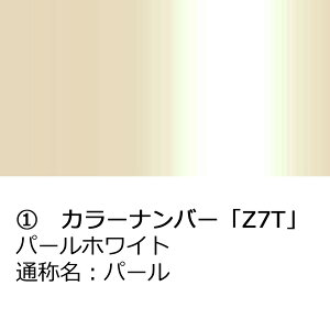 |Cgő47{ hA~[Jo[yXYL GuCW DA17W hA~[ECJ[tԁz(ȑ) EE͂DIYŌɃ`W Gu[ S SEL10