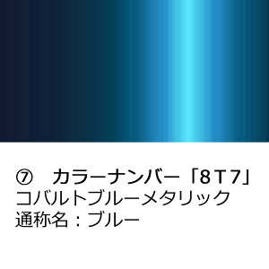 ӍP41{ hA~[Jo[yg^ ANA NHP10 pz(ȑ)J[Iт EE͂DIYŌɃ`W TAL20