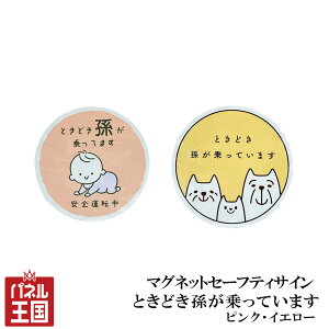 ӍP41{ Z[teBTC Ă܂ }Olbg sNACG[ 1 a123mm ی^  㑱ԂɃAs[  cg-mys-MR-04-05 KRPR