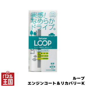 ӍP41{  [v x[VbNPA GW̏ی&\ R VAX^[cg-SL-LP-48