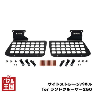 �|�C���g�ő�49�{ �yIPF�z�T�C�h�X�g���[�W�p�l�� for �����h�N���[�U�[250 �N�H�[�^�[�K���X��ی� �X�`�[�����p�E�_�[�R�[�g �ԗ��������H ���N�T�X GX550 VJA252W���Ή��� ipf-025