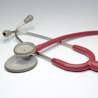 リットマン 聴診器 ライトウェイト II SE　バーガンディ (2451) 3M Littmann Lightweight2 ステート【国…