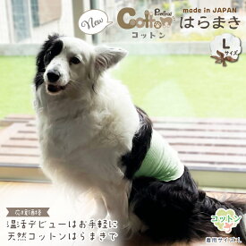 犬用腹巻き Pancia Cottonはらまき Lサイズ 日本製 コットン 綿 冬用 ペット腹巻き ドッグウェア ペットウェア 冷え防止 冷え症ケア 寒さ対策 防寒 大型犬 猫 シニア犬 介護 犬の服