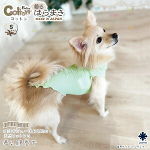 p Panfree Cotton͂܂ XSTCY STCY MTCY LTCY XLTCY { hbOEFA ybgEFA ₦h~ ₦ǃPA ΍ h Lт j̎q ̎q ̕