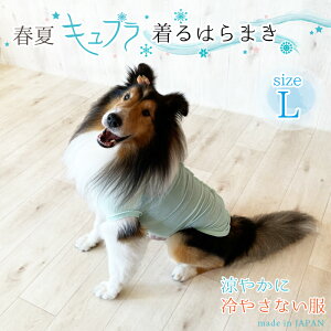 p Lv ͂܂ VN LTCY {  ybg hbOEFA ybgEFA ybgpCi[  ₦h~ ^ ^ j̎q ̎q ̕