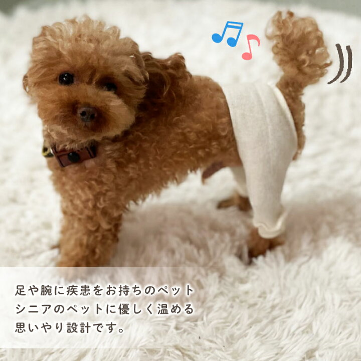 楽天市場】ペット用レッグウォーマー わんにゃん行進曲 シルク 