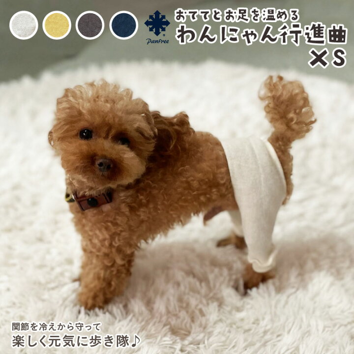 楽天市場】ペット用レッグウォーマー わんにゃん行進曲 シルク 