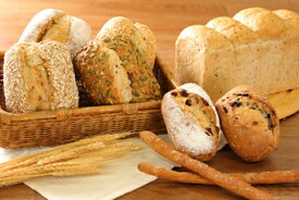 健康パンセット 詰め合わせ グリッシーニ2本プレゼント 美味しいパン 美味しい お取り寄せ パン お取り寄せグルメ テレビ -パン工房カワ-